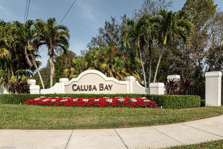 Welcome to Calusa Bay