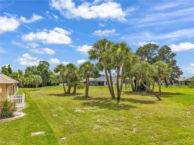 Expansive green space featuring mature palm trees and natural landscaping