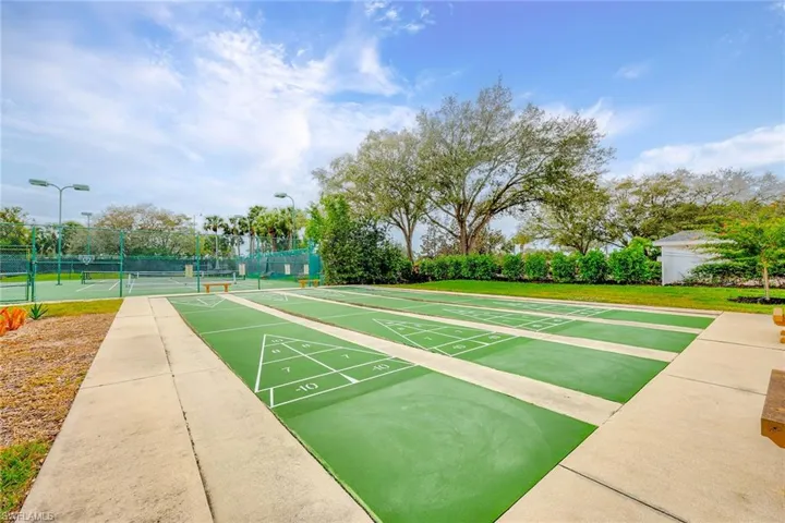 Shuffleboard