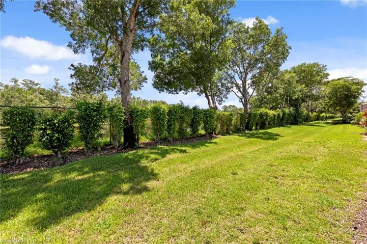 View of green lawn