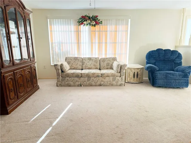 Carpeted living room featuring a wealth of natural light in the afternoon
