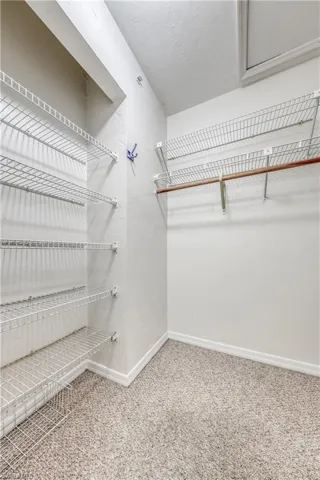 Spacious closet featuring carpet