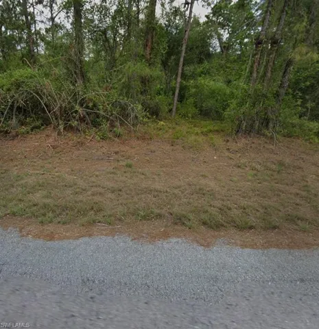 View of undeveloped land