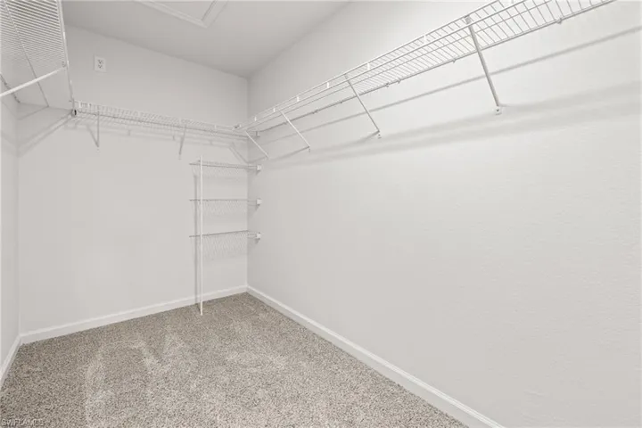 Walk in closet with carpet floors