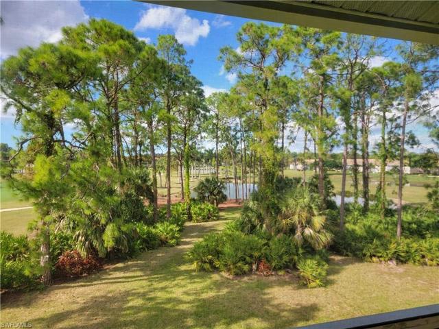 View of the trees and lake from this elevation gives you a feeling of tranquility.