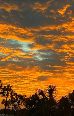 Gorgeous Sunsets!