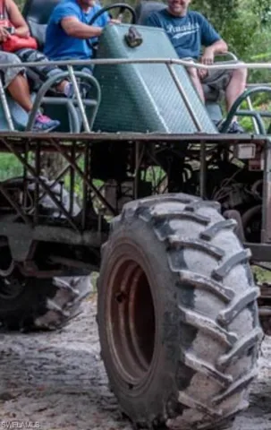 swamp buggy rides