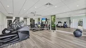 Clubhouse Workout area featuring plenty of natural light and light hardwood / wood-style floors