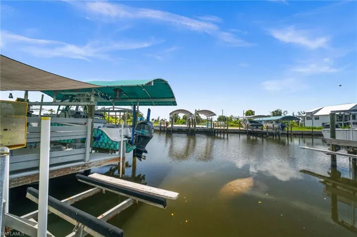 Can you find the Manatee
