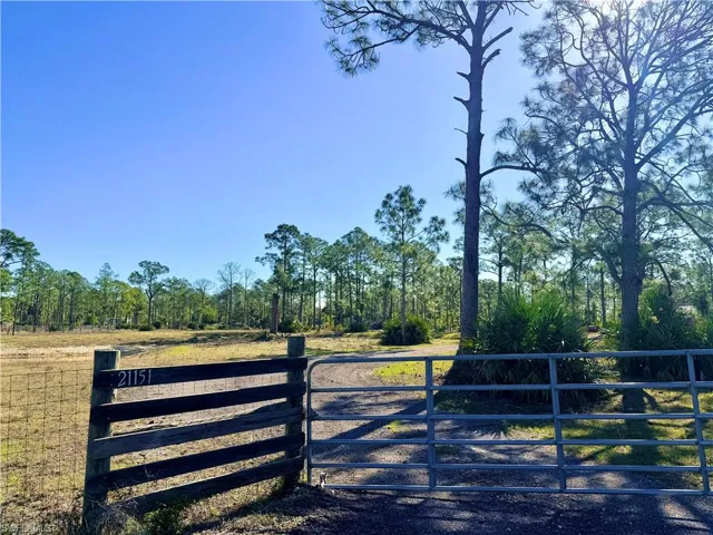 View of gate