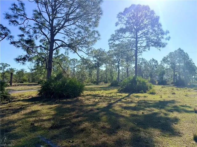 View of green lawn
