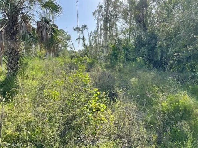 235-237  Santa Cruz  ST, North Fort Myers, FL 33903