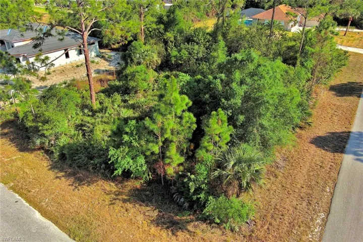 Aerial view of a tree filled landscape