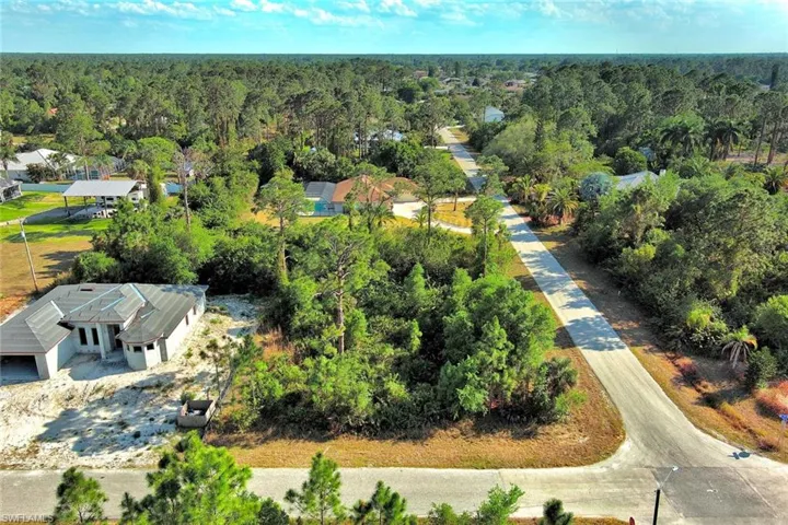 Bird's eye view of a forest
