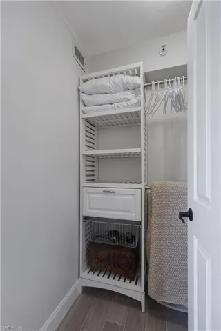 Guest Closet