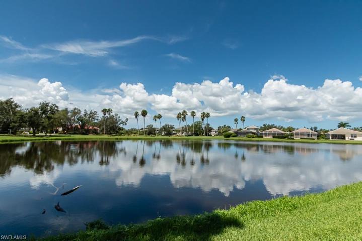 View of the Pond