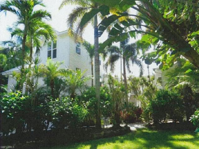PRE-Storm Lush Landscaping