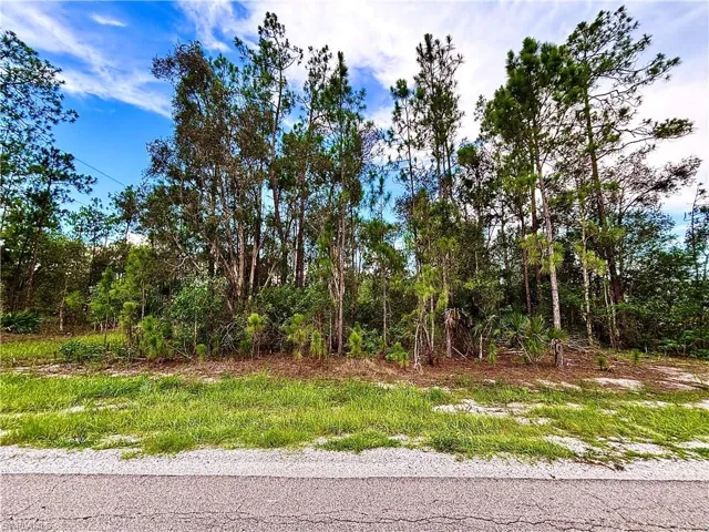 902 E 14th St, Lehigh Acres, Florida 33972