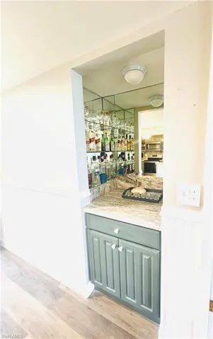 Bar with light hardwood / wood-style floors