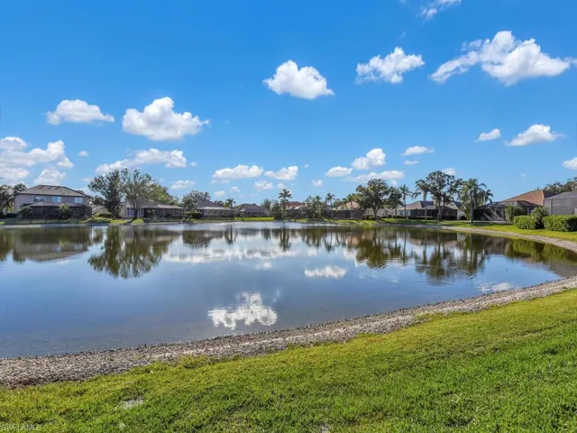 Peaceful Lake View