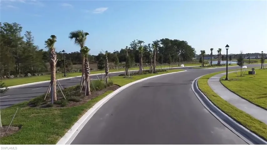 Paved street with curving sidewalks, street lamps, and a landscaped median featuring palm trees