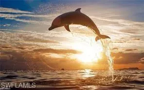 Enjoy daily dolphin shows-better than Sea World!