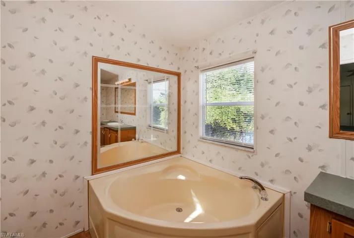 Bathroom featuring vanity and a washtub