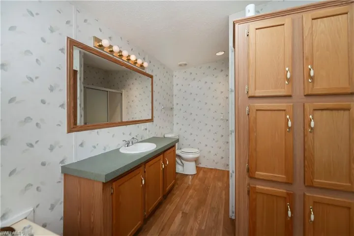 Bathroom featuring vanity, a textured ceiling, hardwood / wood-style floors, and toilet