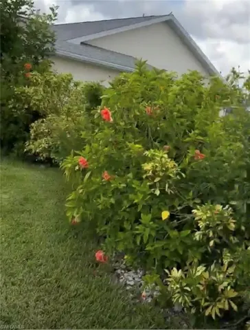 Landscaping featuring established shrubs with flowering accents