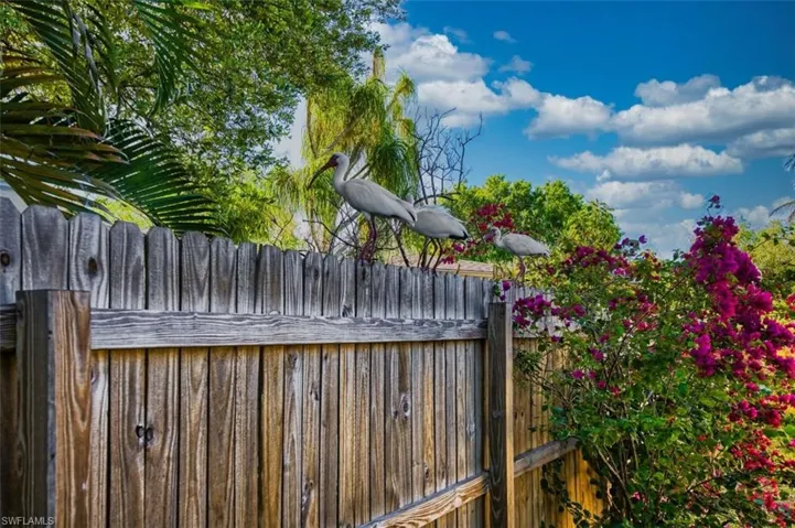 View of gate