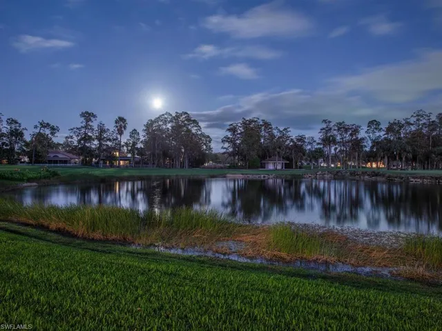 Water view with moonlight