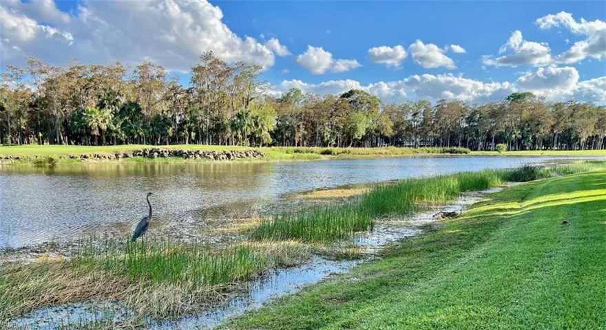 Water view with heron