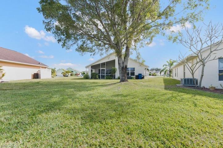 Back yard, oak tree, rear elevation