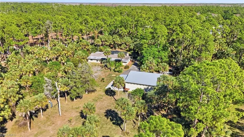 Drone / aerial view of a forest