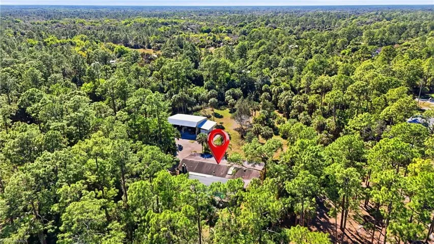 Bird's eye view of a forest
