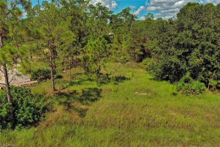 View of undeveloped land