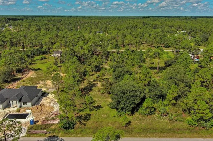 Drone / aerial view of a forest