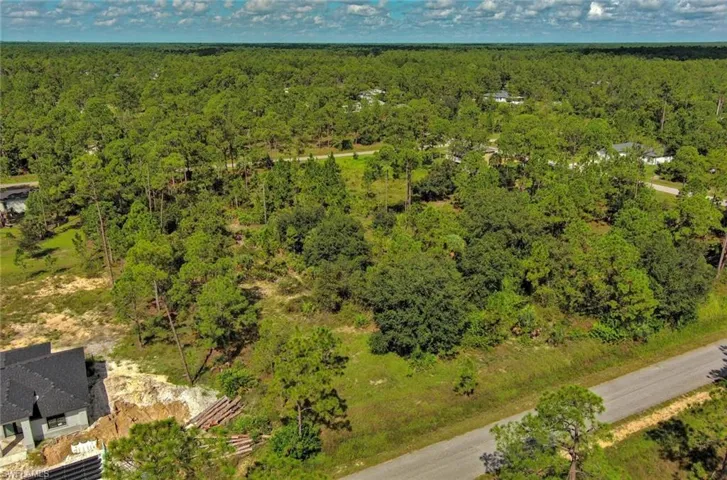 Drone / aerial view of a forest