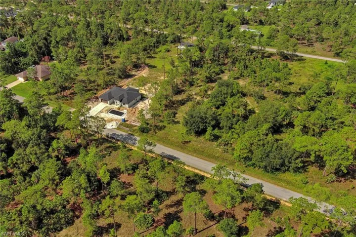 Drone / aerial view of a forest