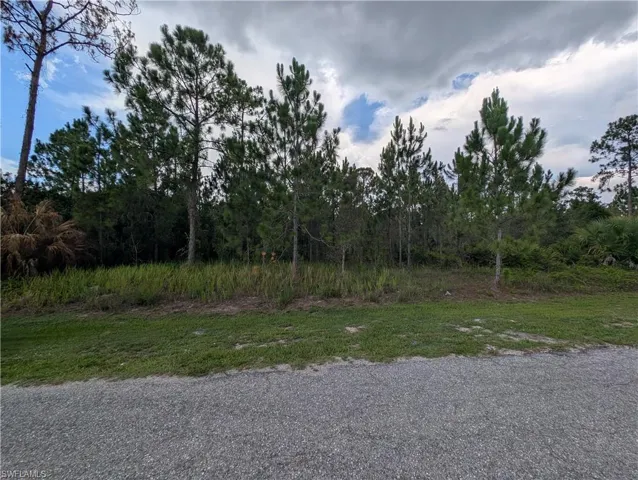 1007 Cleveland Ave, Lehigh Acres, Florida 33972