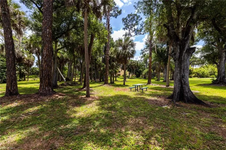 Nature picnic area. Definitely a place to relax and unwind.