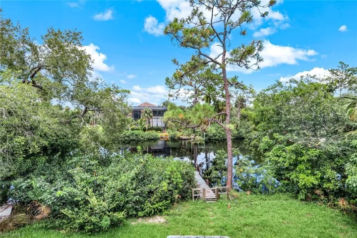 While unwinding on the dock, you will see dolphins, manatees, turtles, and more!