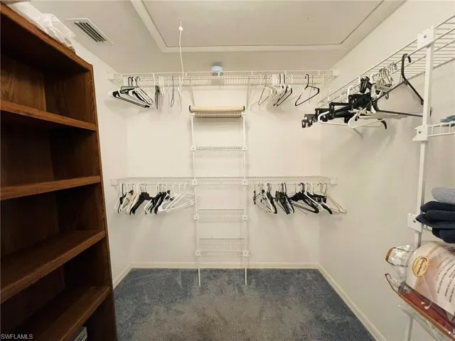 Spacious closet featuring carpet floors