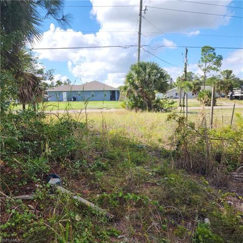 Looking Towards The Street From The Lot