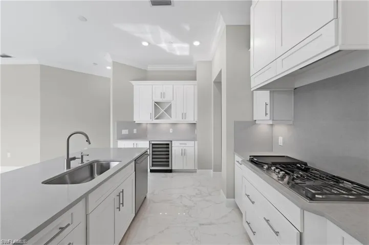 Wine cooler, gas cooktop, large stainless sink.