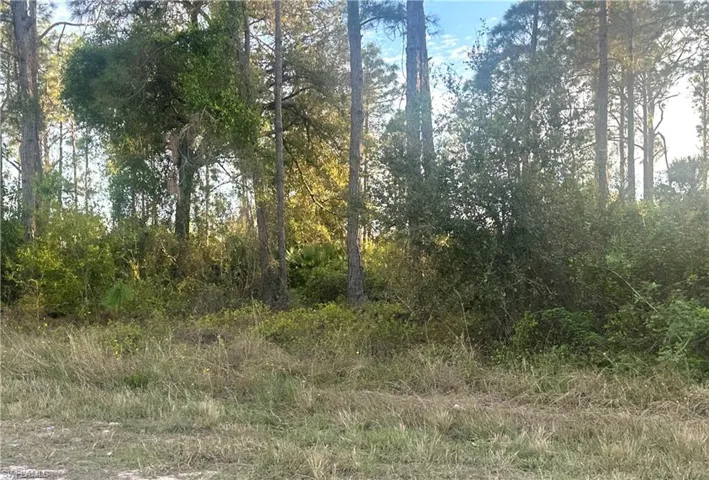 Front view of this commercial lot