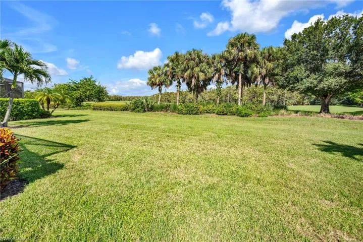 View of back yard