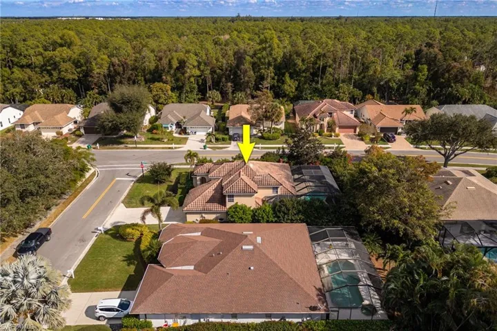 Aerial perspective of suburban area with a forest