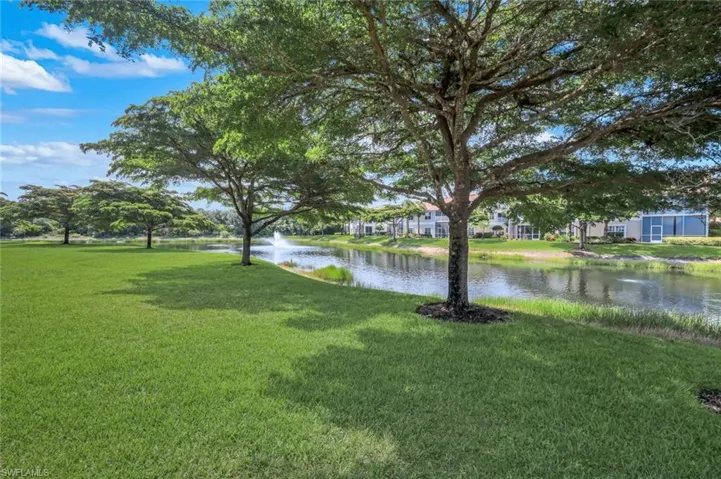 Peaceful park like view