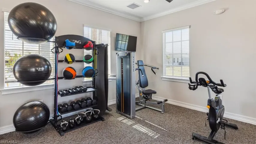 Exercise room with ornamental molding and carpet flooring
